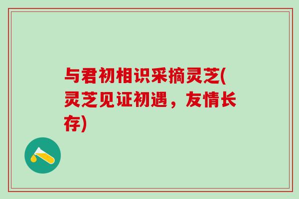 与君初相识采摘灵芝(灵芝见证初遇，友情长存)