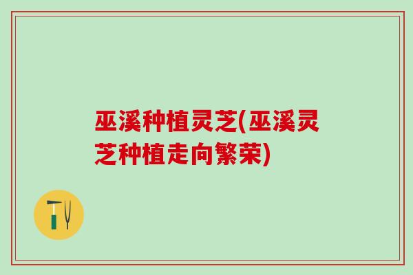 巫溪种植灵芝(巫溪灵芝种植走向繁荣)
