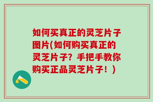 如何买真正的灵芝片子图片(如何购买真正的灵芝片子？手把手教你购买正品灵芝片子！)