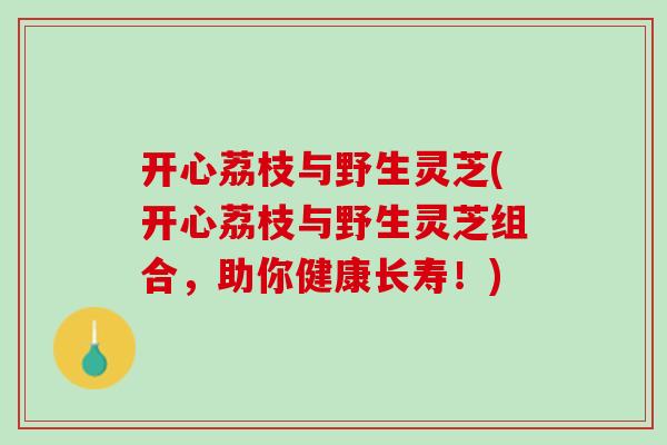 开心荔枝与野生灵芝(开心荔枝与野生灵芝组合，助你健康长寿！)