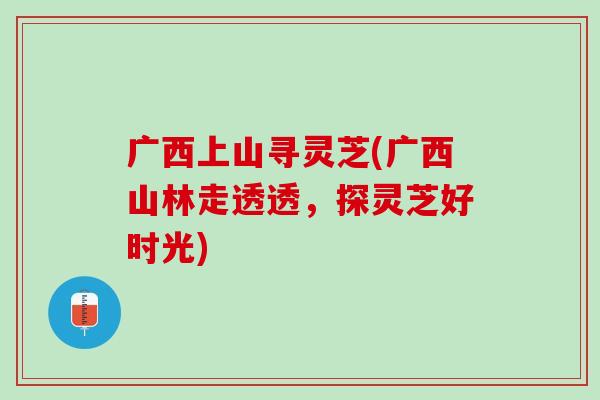 广西上山寻灵芝(广西山林走透透,探灵芝好时光) 广西上山寻灵芝(广西山林走透透,探灵芝好时光)