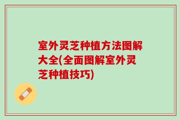 室外灵芝种植方法图解大全(全面图解室外灵芝种植技巧) 室外灵芝种植方法图解大全(全面图解室外灵芝种植技巧)