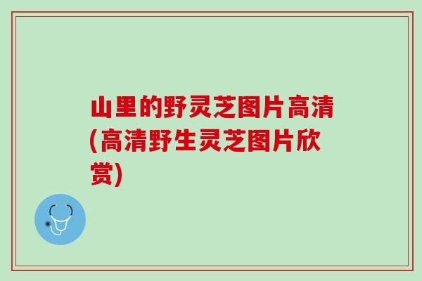 山里的野灵芝图片高清(高清野生灵芝图片欣赏)