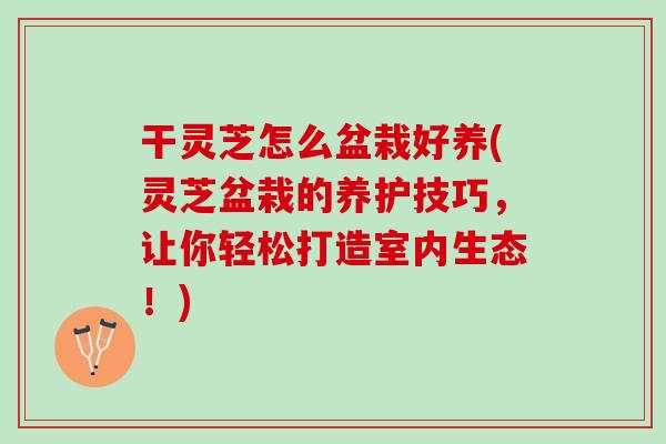 干灵芝怎么盆栽好养(灵芝盆栽的养护技巧,让你轻松打造室内生态!) 干灵芝怎么盆栽好养(灵芝盆栽的养护技巧,让你轻松打造室内生态!)