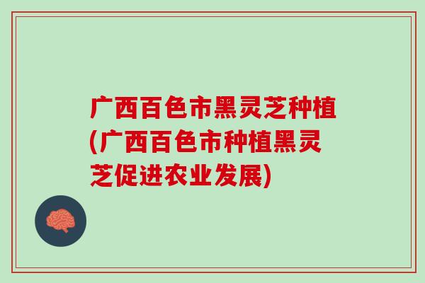 广西百色市黑灵芝种植(广西百色市种植黑灵芝促进农业发展)