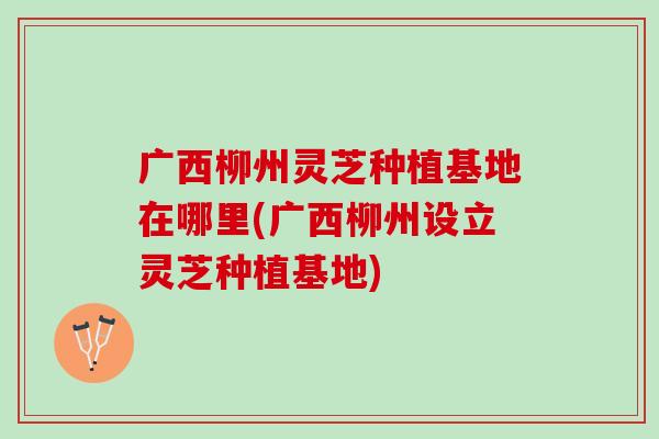 广西柳州灵芝种植基地在哪里(广西柳州设立灵芝种植基地)