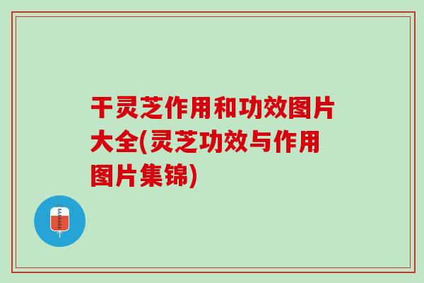 干灵芝作用和功效图片大全(灵芝功效与作用图片集锦)
