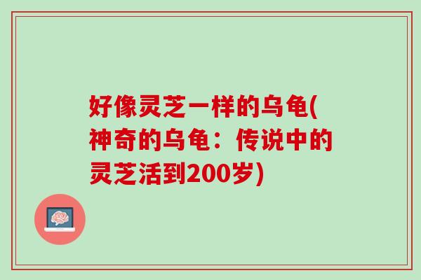 好像灵芝一样的乌龟(神奇的乌龟：传说中的灵芝活到200岁)
