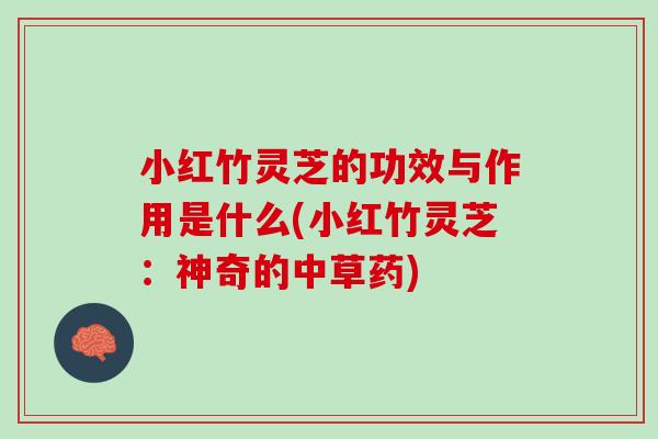 小红竹灵芝的功效与作用是什么(小红竹灵芝：神奇的中草药)