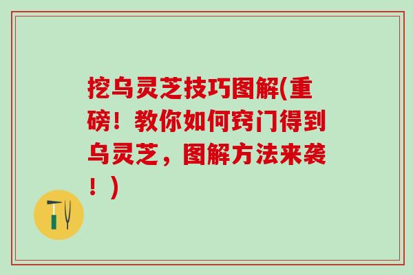 挖乌灵芝技巧图解(重磅！教你如何窍门得到乌灵芝，图解方法来袭！)