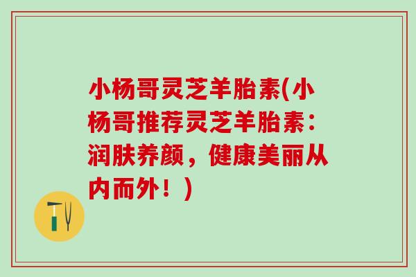 小杨哥灵芝羊胎素(小杨哥推荐灵芝羊胎素：润肤养颜，健康美丽从内而外！)