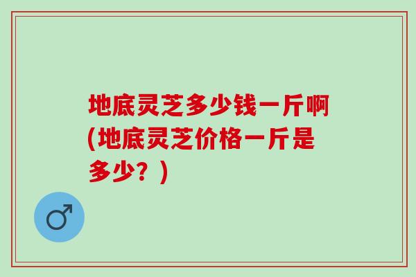 地底灵芝多少钱一斤啊(地底灵芝价格一斤是多少？)