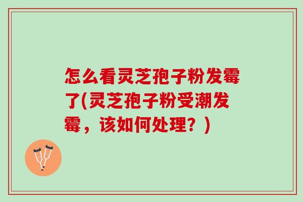 怎么看灵芝孢子粉发霉了(灵芝孢子粉受潮发霉，该如何处理？)