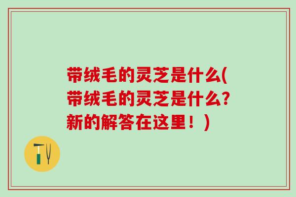 带绒毛的灵芝是什么(带绒毛的灵芝是什么？新的解答在这里！)