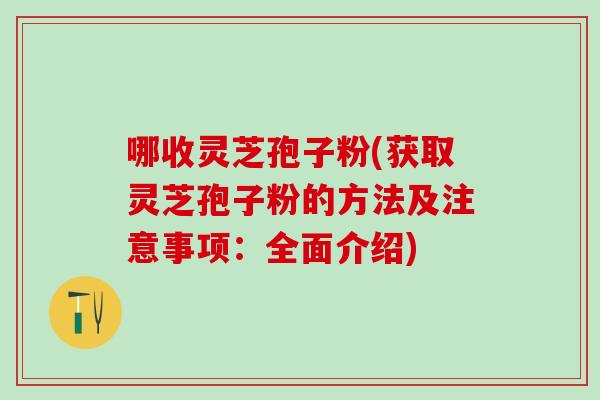哪收灵芝孢子粉(获取灵芝孢子粉的方法及注意事项：全面介绍)