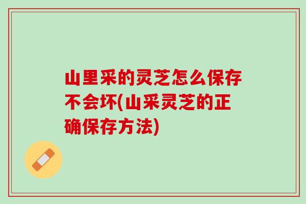 山里采的灵芝怎么保存不会坏(山采灵芝的正确保存方法)