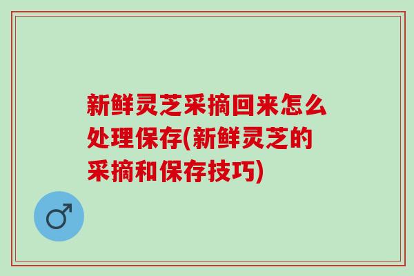 新鲜灵芝采摘回来怎么处理保存(新鲜灵芝的采摘和保存技巧)