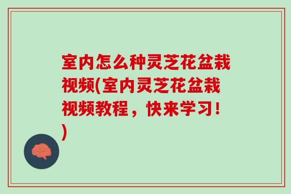 室内怎么种灵芝花盆栽视频(室内灵芝花盆栽视频教程,快来学习!) 室内怎么种灵芝花盆栽视频(室内灵芝花盆栽视频教程,快来学习!)