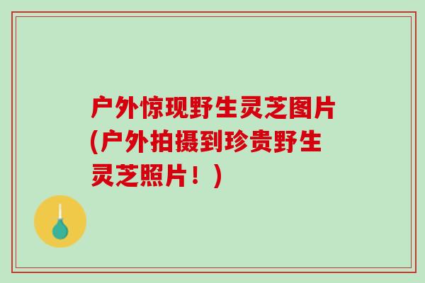 户外惊现野生灵芝图片(户外拍摄到珍贵野生灵芝照片!) 户外惊现野生灵芝图片(户外拍摄到珍贵野生灵芝照片!)