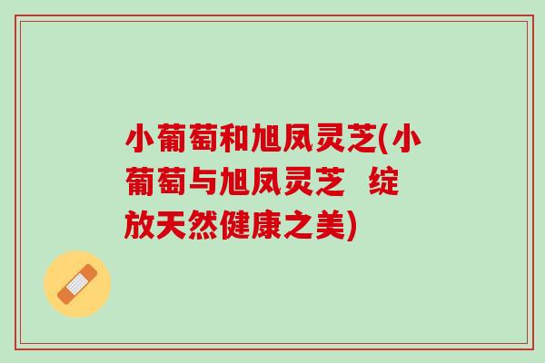 小葡萄和旭凤灵芝(小葡萄与旭凤灵芝  绽放天然健康之美)