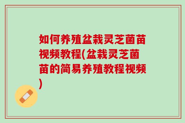 如何养殖盆栽灵芝菌苗视频教程(盆栽灵芝菌苗的简易养殖教程视频)