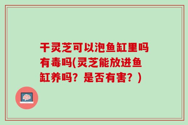 干灵芝可以泡鱼缸里吗有毒吗(灵芝能放进鱼缸养吗?是否有害?) 干灵芝可以泡鱼缸里吗有毒吗(灵芝能放进鱼缸养吗?是否有害?)