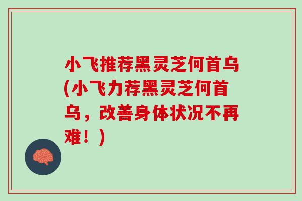 小飞推荐黑灵芝何首乌(小飞力荐黑灵芝何首乌，改善身体状况不再难！)