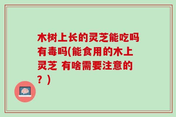木树上长的灵芝能吃吗有毒吗(能食用的木上灵芝 有啥需要注意的?) 木树上长的灵芝能吃吗有毒吗(能食用的木上灵芝 有啥需要注意的?)