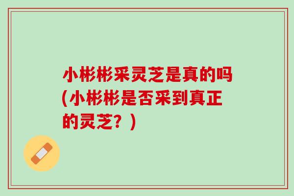 小彬彬采灵芝是真的吗(小彬彬是否采到真正的灵芝?) 小彬彬采灵芝是真的吗(小彬彬是否采到真正的灵芝?)