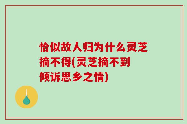 恰似故人归为什么灵芝摘不得(灵芝摘不到 倾诉思乡之情)