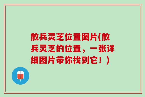 散兵灵芝位置图片(散兵灵芝的位置,一张详细图片带你找到它!) 散兵灵芝位置图片(散兵灵芝的位置,一张详细图片带你找到它!)