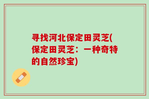 寻找河北保定田灵芝(保定田灵芝：一种奇特的自然珍宝)