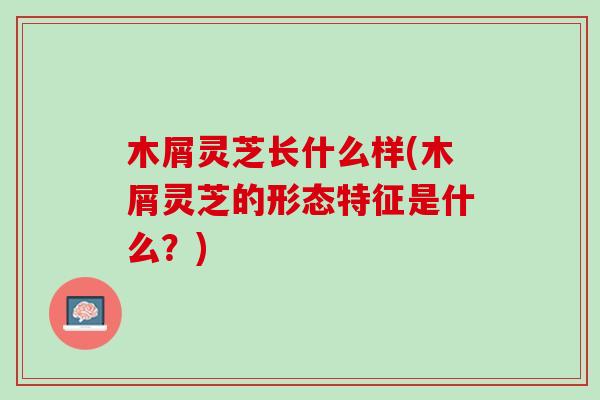 木屑灵芝长什么样(木屑灵芝的形态特征是什么？)