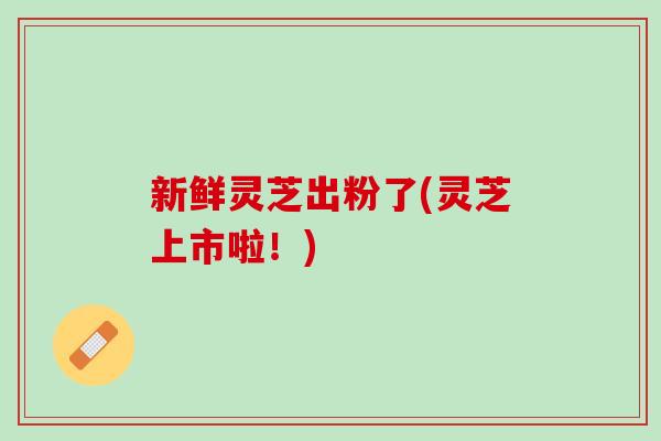 新鲜灵芝出粉了(灵芝上市啦！)