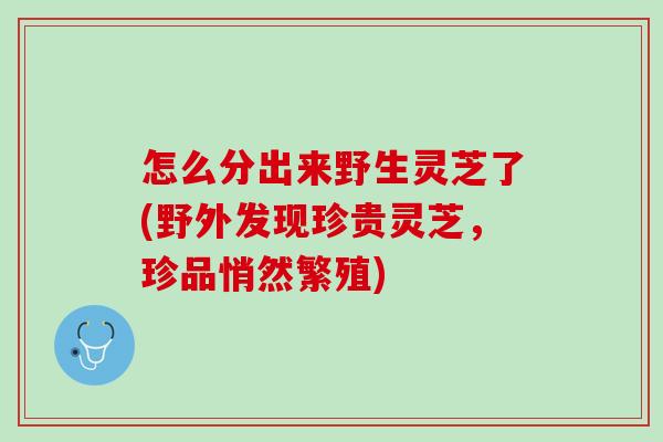 怎么分出来野生灵芝了(野外发现珍贵灵芝,珍品悄然繁殖) 怎么分出来野生灵芝了(野外发现珍贵灵芝,珍品悄然繁殖)