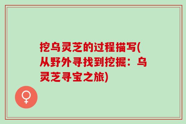挖乌灵芝的过程描写(从野外寻找到挖掘：乌灵芝寻宝之旅)