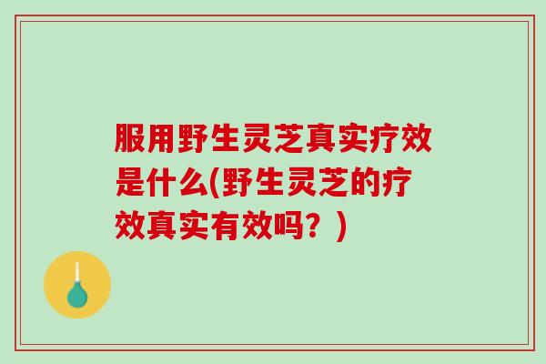 服用野生灵芝真实疗效是什么(野生灵芝的疗效真实有效吗？)