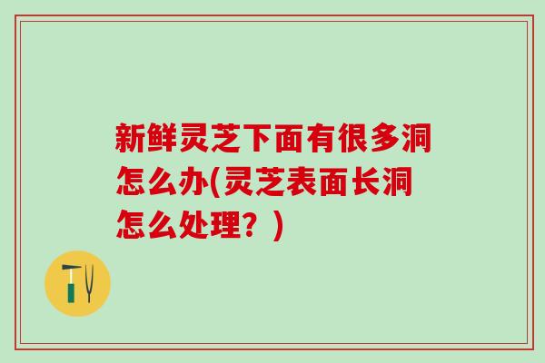 新鲜灵芝下面有很多洞怎么办(灵芝表面长洞怎么处理？)