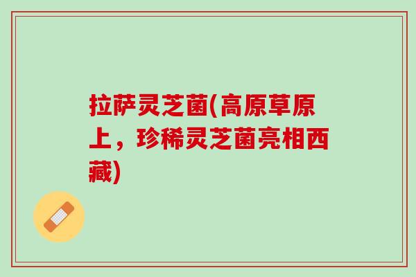 拉萨灵芝菌(高原草原上，珍稀灵芝菌亮相西藏)