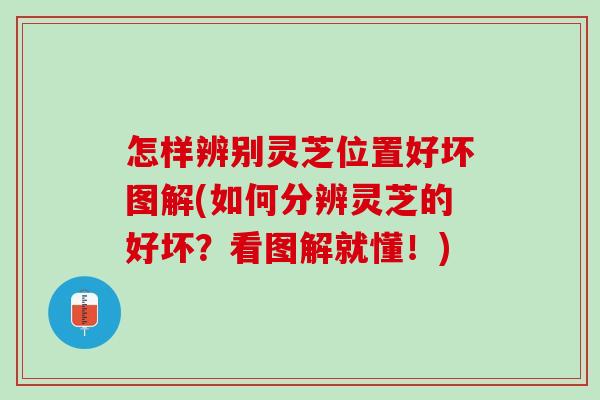 怎样辨别灵芝位置好坏图解(如何分辨灵芝的好坏？看图解就懂！)