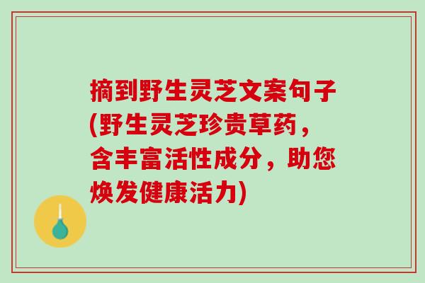 摘到野生灵芝文案句子(野生灵芝珍贵草药，含丰富活性成分，助您焕发健康活力)