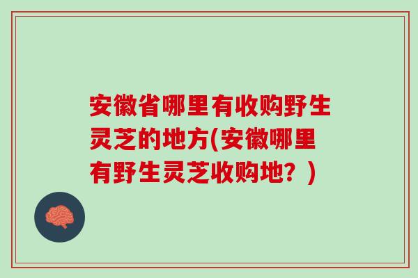 安徽省哪里有收购野生灵芝的地方(安徽哪里有野生灵芝收购地？)