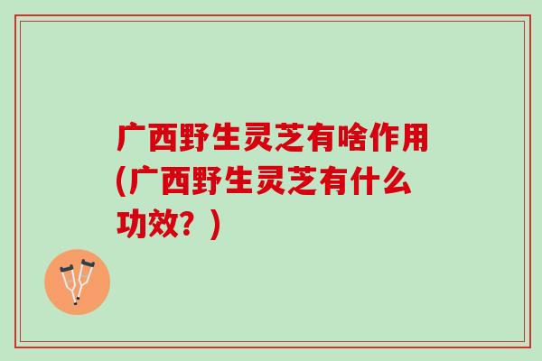 广西野生灵芝有啥作用(广西野生灵芝有什么功效？)