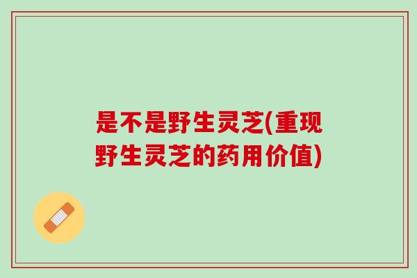 是不是野生灵芝(重现野生灵芝的药用价值)
