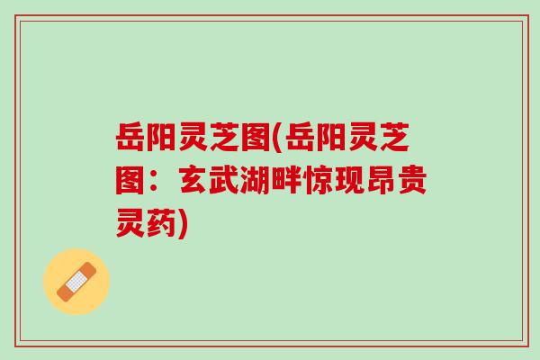 岳阳灵芝图(岳阳灵芝图:玄武湖畔惊现昂贵灵药) 岳阳灵芝图(岳阳灵芝图:玄武湖畔惊现昂贵灵药)