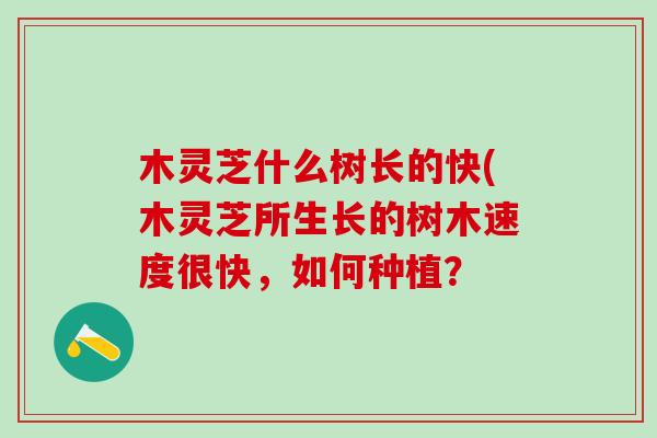 木灵芝什么树长的快(木灵芝所生长的树木速度很快,如何种植? 木灵芝什么树长的快(木灵芝所生长的树木速度很快,如何种植?