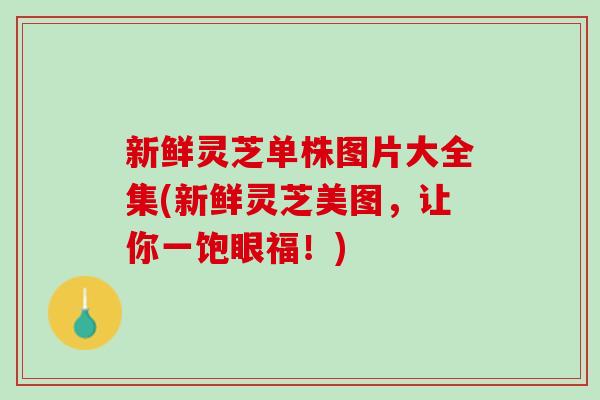 新鲜灵芝单株图片大全集(新鲜灵芝美图，让你一饱眼福！)