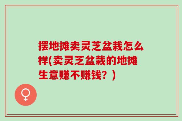 摆地摊卖灵芝盆栽怎么样(卖灵芝盆栽的地摊生意赚不赚钱？)