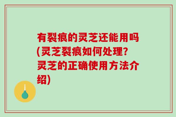 有裂痕的灵芝还能用吗(灵芝裂痕如何处理？灵芝的正确使用方法介绍)