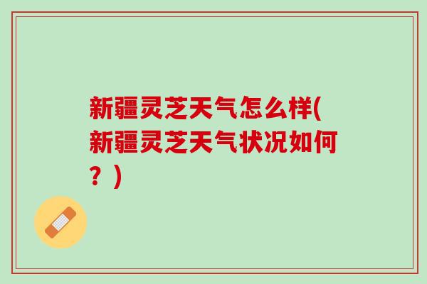 新疆灵芝天气怎么样(新疆灵芝天气状况如何？)